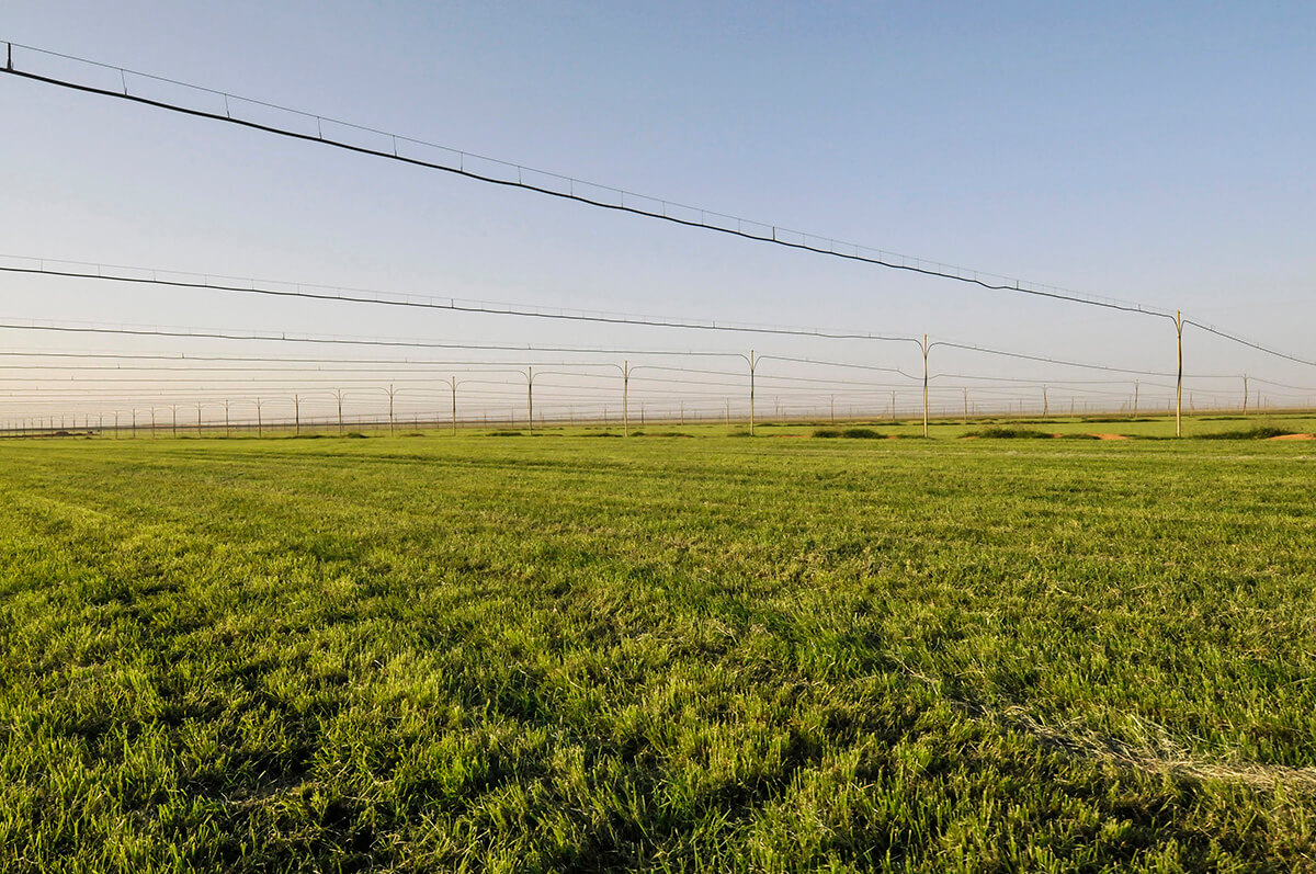 Deem Irrigation System